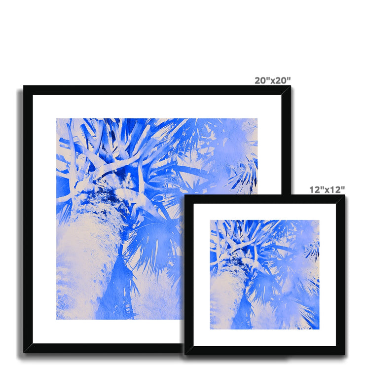 Palm Tree B4 Framed & Mounted Print