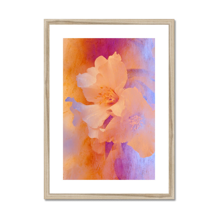 White Phoenix A1 Framed & Mounted Print