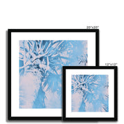 Palm Tree B7 Framed & Mounted Print