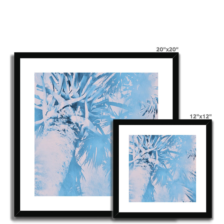 Palm Tree B7 Framed & Mounted Print