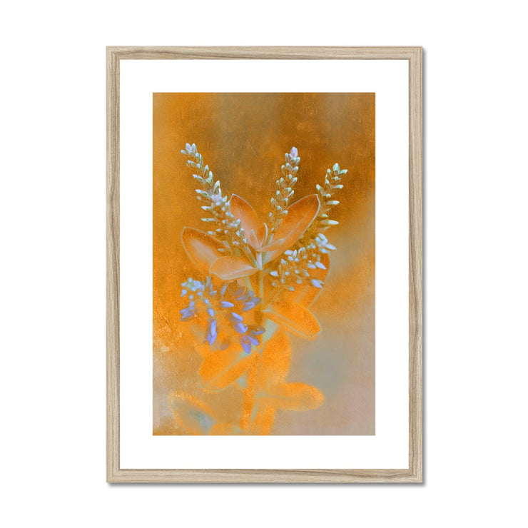 Lilac A1 Framed & Mounted Print