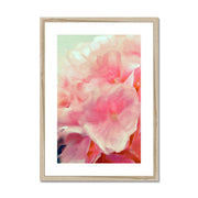 Hydrangea C1 Framed & Mounted Print