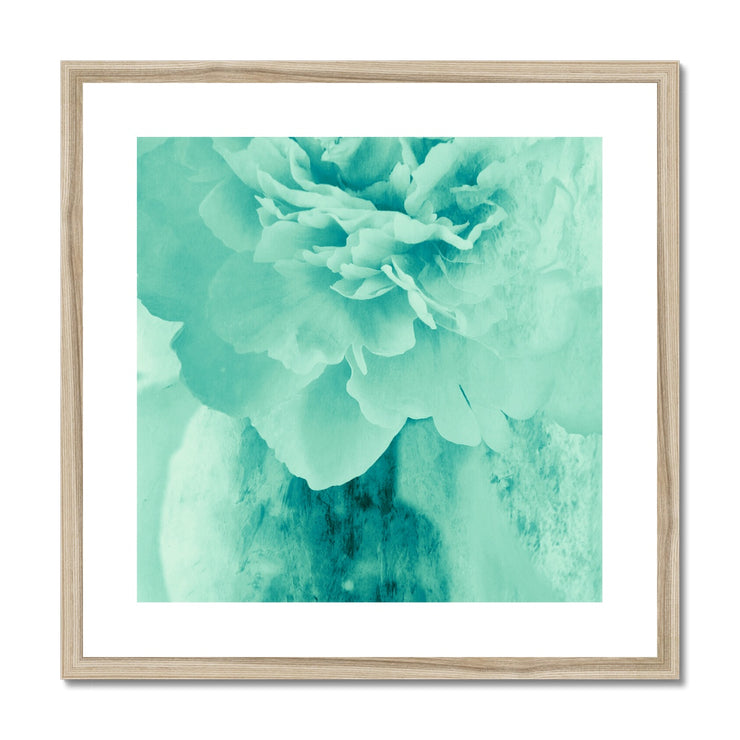 Peony G5 Framed & Mounted Print