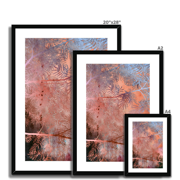 Albizia Tree A3 Framed & Mounted Print