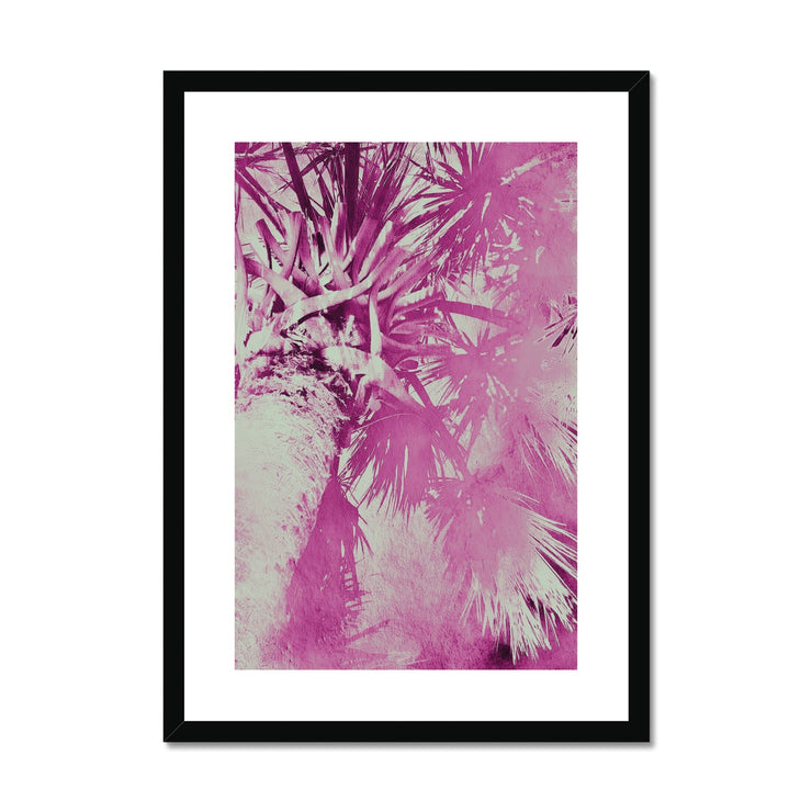 Palm Tree B5 Framed & Mounted Print