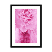 Peony G6 Framed & Mounted Print