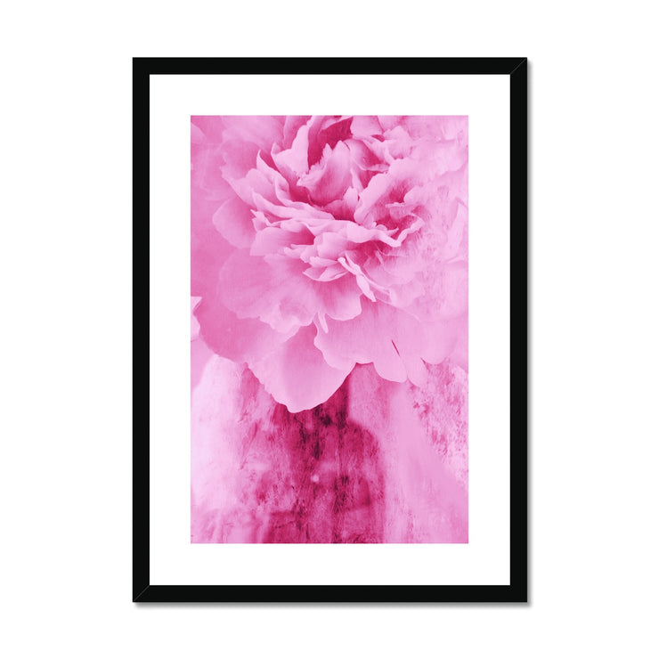 Peony G6 Framed & Mounted Print