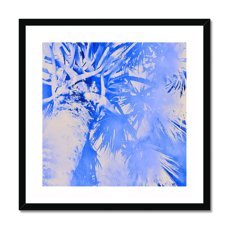 Palm Tree B4 Framed & Mounted Print