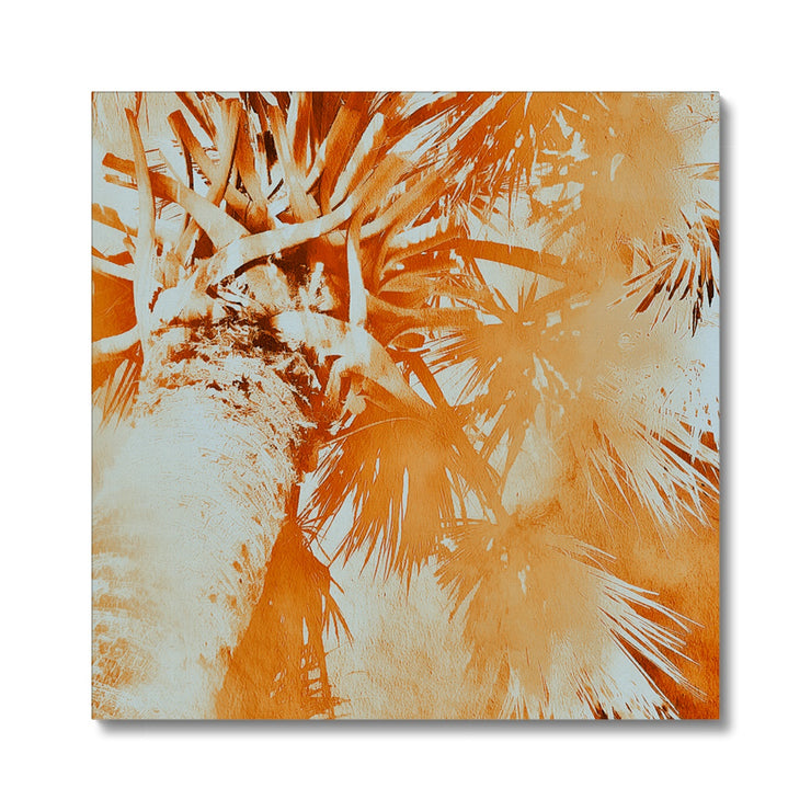 Palm Tree B1 Canvas