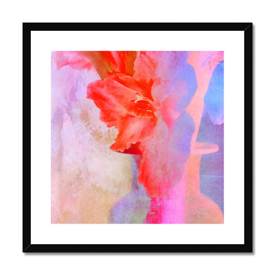 Gladiolas A2 Framed & Mounted Print