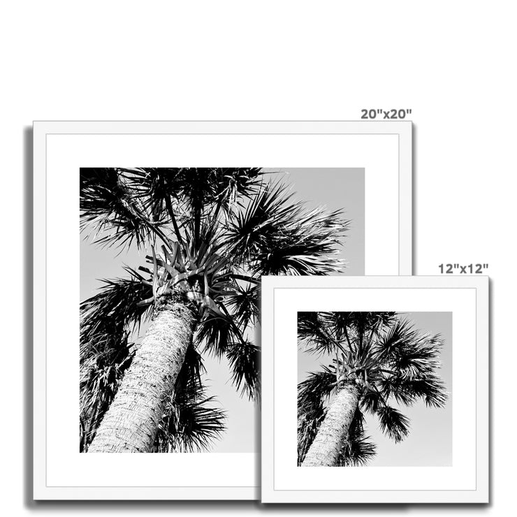 Palm Tree E2 Framed & Mounted Print