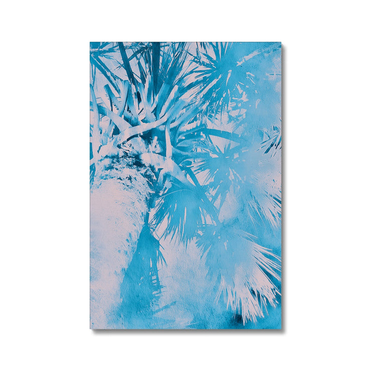 Palm Tree B7 Canvas