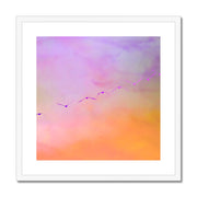 Pelicans in Flight A2 Framed & Mounted Print