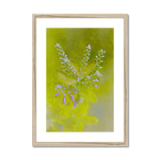 Lilac A5 Framed & Mounted Print