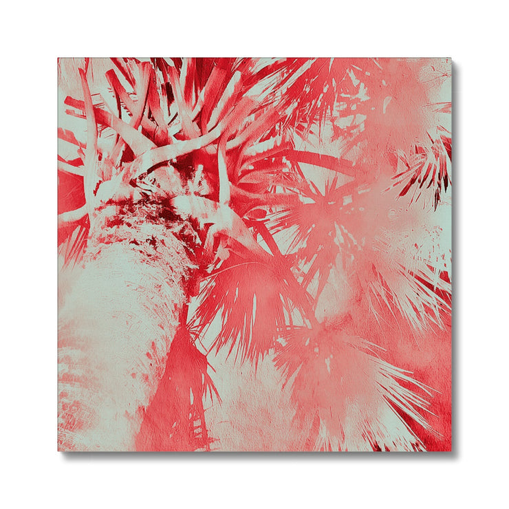 Palm Tree B6 Canvas