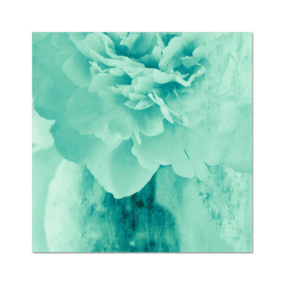 Peony G5 Hahnemühle Photo Rag Print