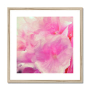 Hydrangea C2 Framed & Mounted Print