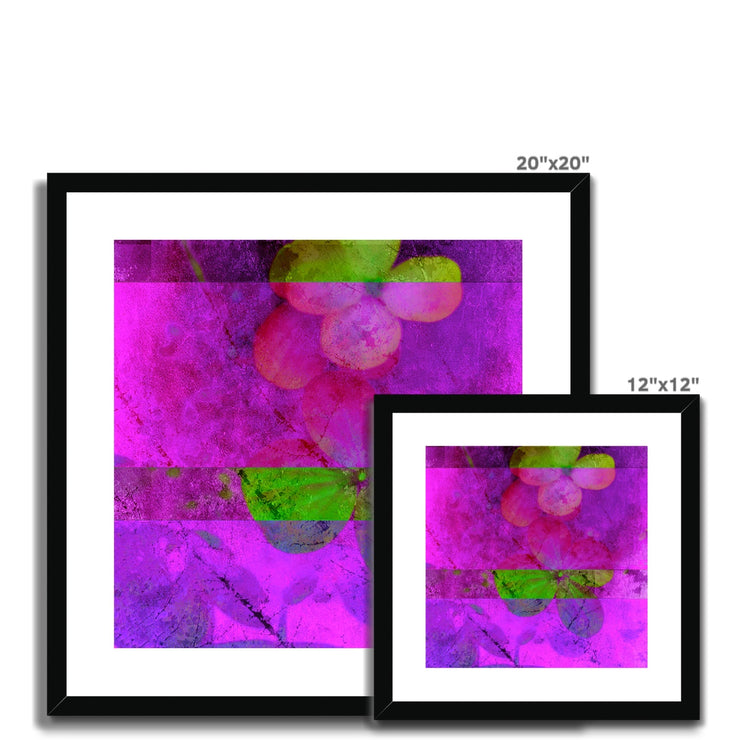 Hydrangea D1 Framed & Mounted Print