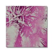 Palm Tree B5 Canvas