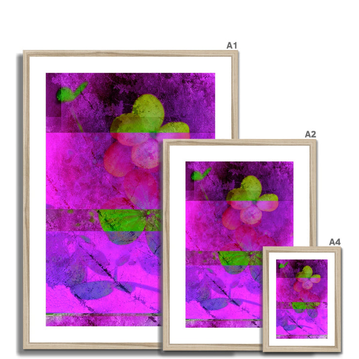 Hydrangea D1 Framed & Mounted Print