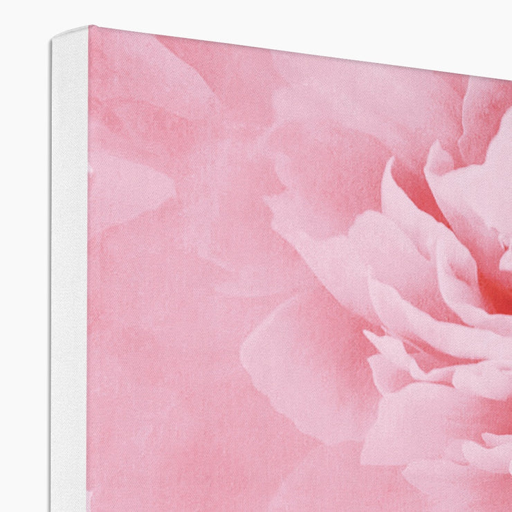 Peony G4 Canvas