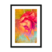 Peony E2 Framed & Mounted Print