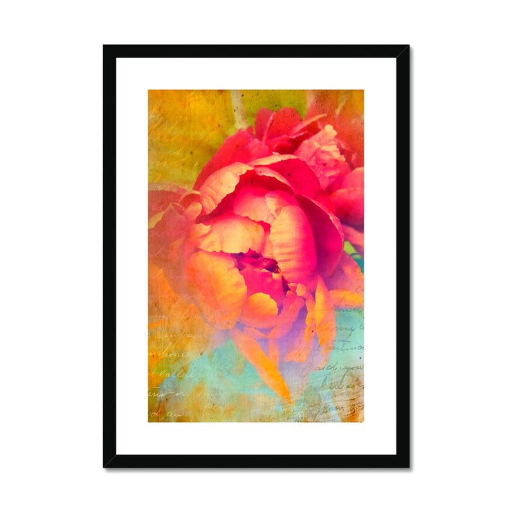 Peony E2 Framed & Mounted Print