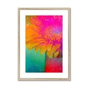 Gerbera B3 Framed & Mounted Print