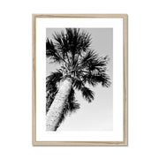 Palm Tree E2 Framed & Mounted Print