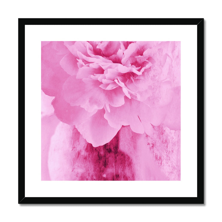 Peony G6 Framed & Mounted Print