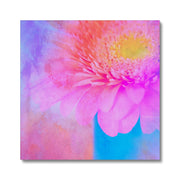 Gerbera B1 Canvas