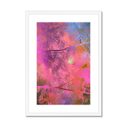 Albizia Tree A5 Framed & Mounted Print