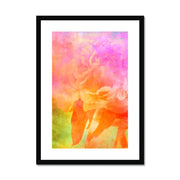 Peony C2 Framed & Mounted Print