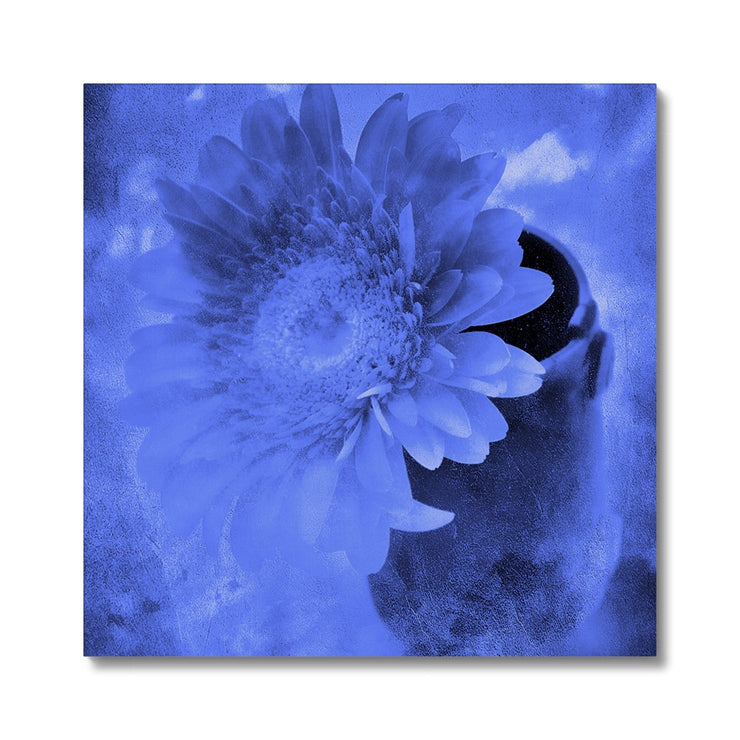 Gerbera A3 Canvas