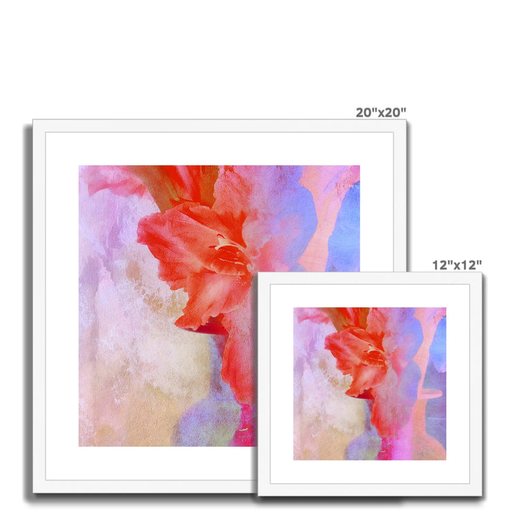 Gladiolas A2 Framed & Mounted Print