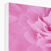 Peony G6 Canvas