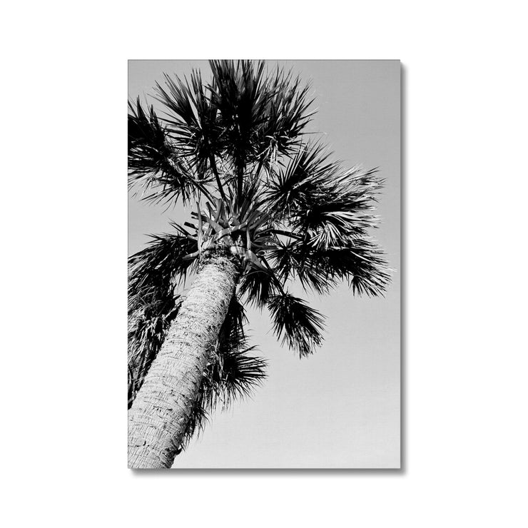 Palm Tree E2 Canvas