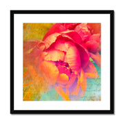 Peony E2 Framed & Mounted Print