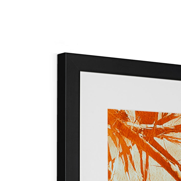 Palm Tree B1 Framed & Mounted Print