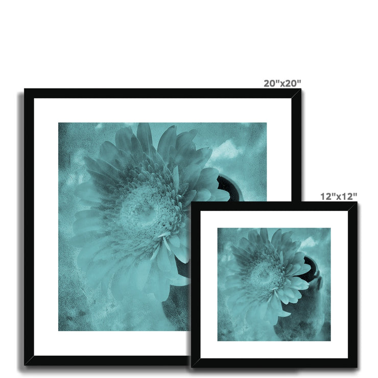 Gerbera A6 Framed & Mounted Print