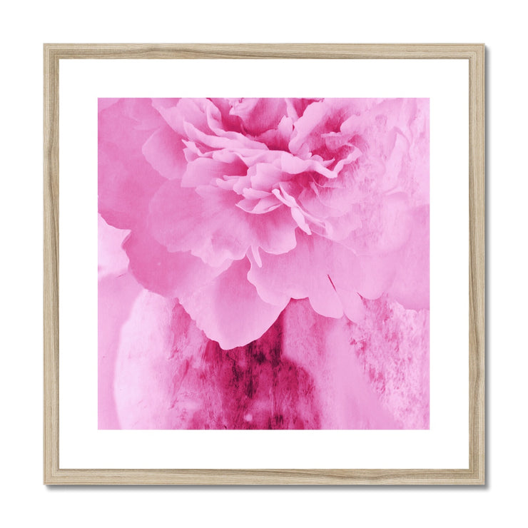 Peony G6 Framed & Mounted Print