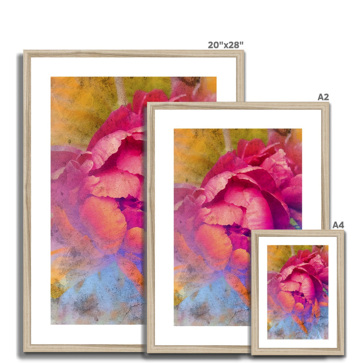 Peony E1 Framed & Mounted Print