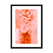 Peony G3 Framed & Mounted Print