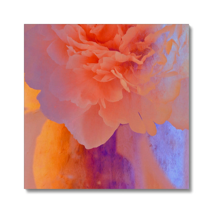 Peony G1 Canvas