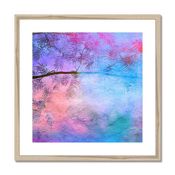 Albizia Tree B1 Framed & Mounted Print