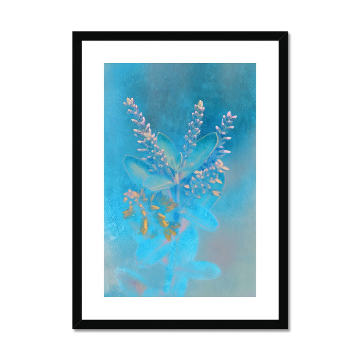 Lilac A3 Framed & Mounted Print