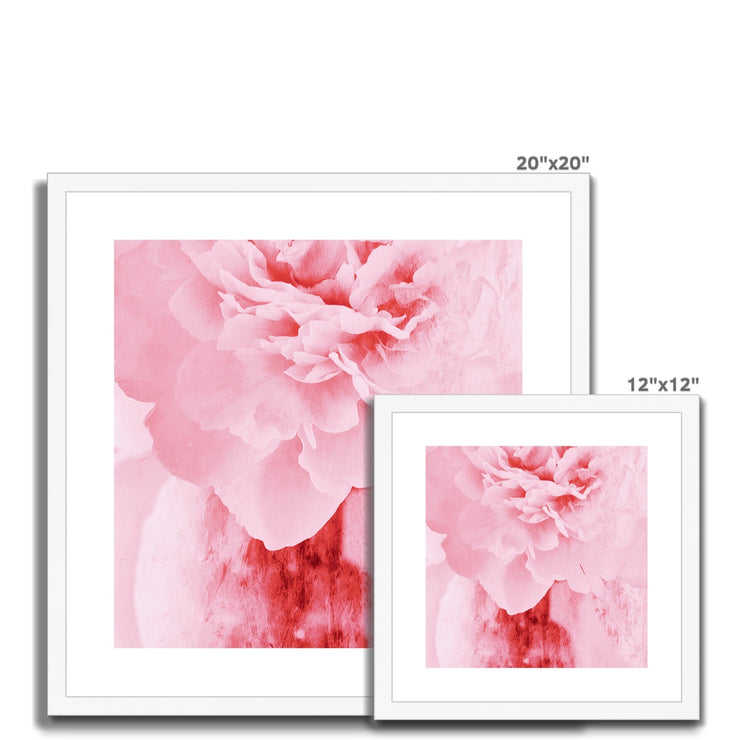 Peony G4 Framed & Mounted Print