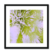 Palm Tree B2 Framed & Mounted Print