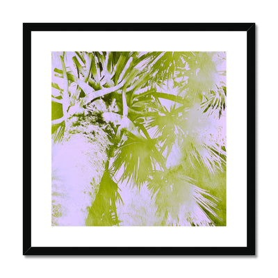 Palm Tree B2 Framed & Mounted Print