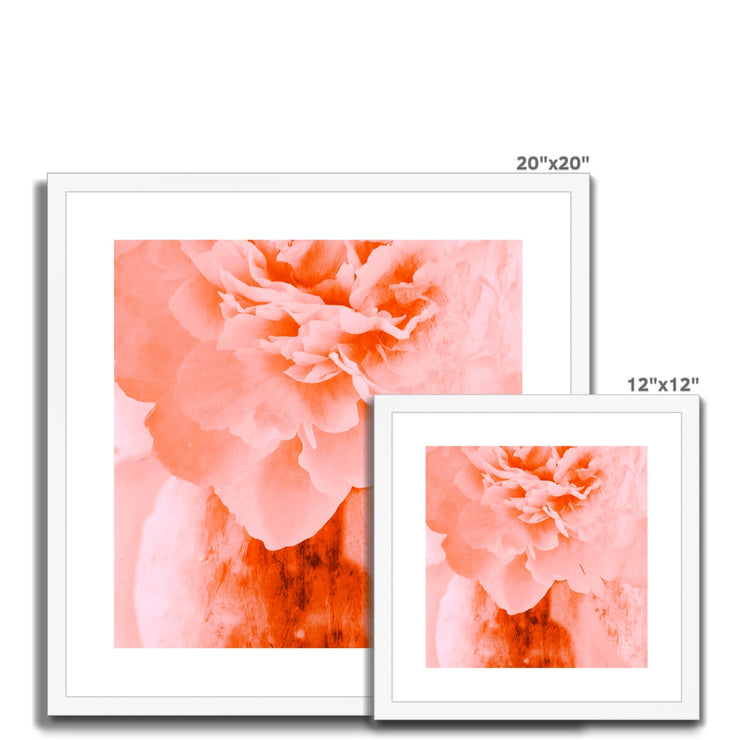 Peony G3 Framed & Mounted Print